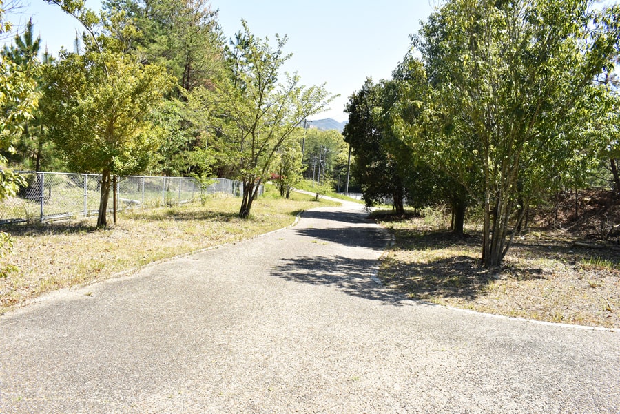 山道
