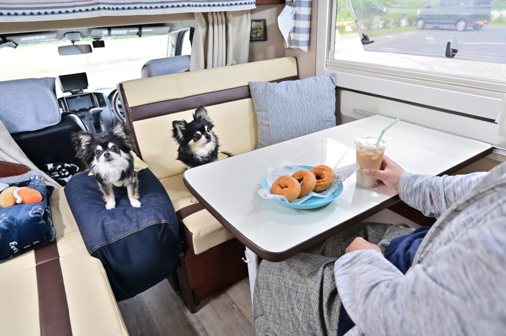 ペットとの旅行におすすめのキャンピングカー5選