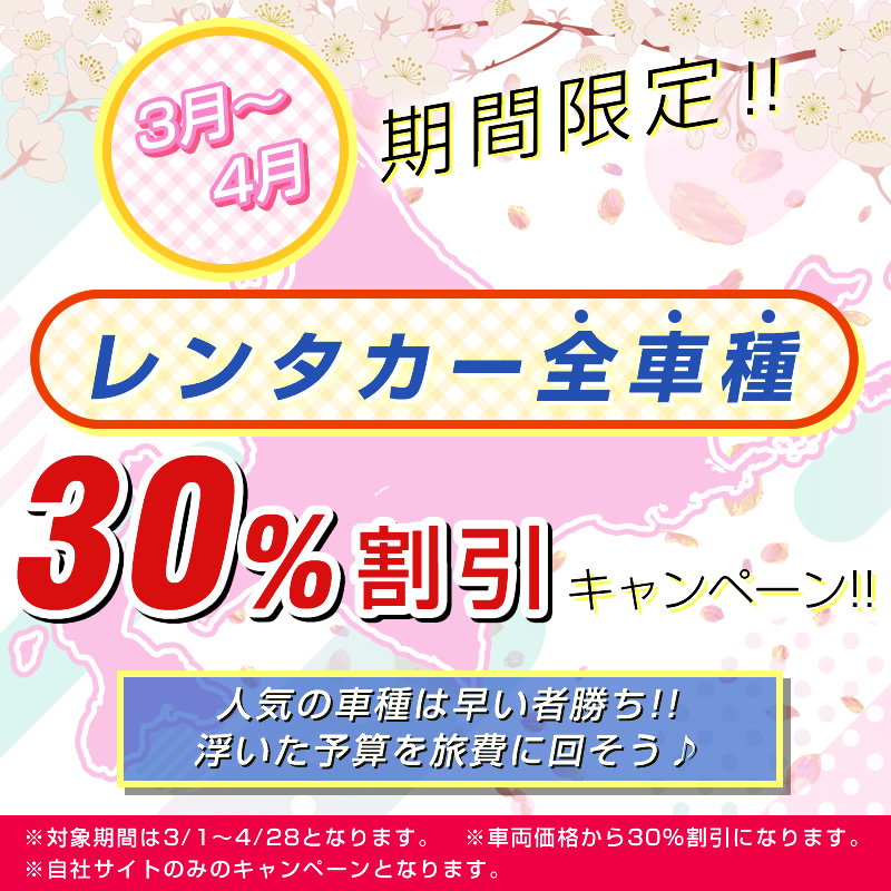 レンタカー30%割引キャンペーン!!