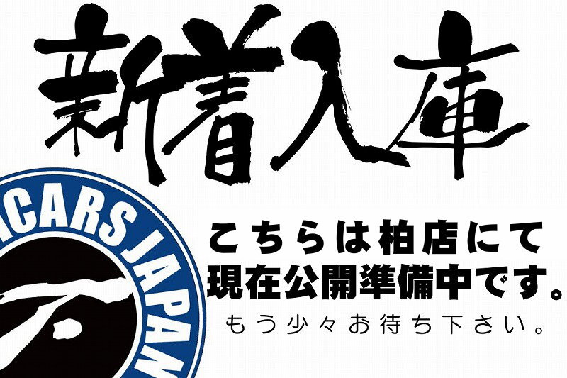 キャンピングカー バンコン ﾌﾚｯｸｽ　ｳｯﾄﾞｳﾞｨﾚｯｼﾞ　丸目ﾌｪｲｽｷｯﾄ
